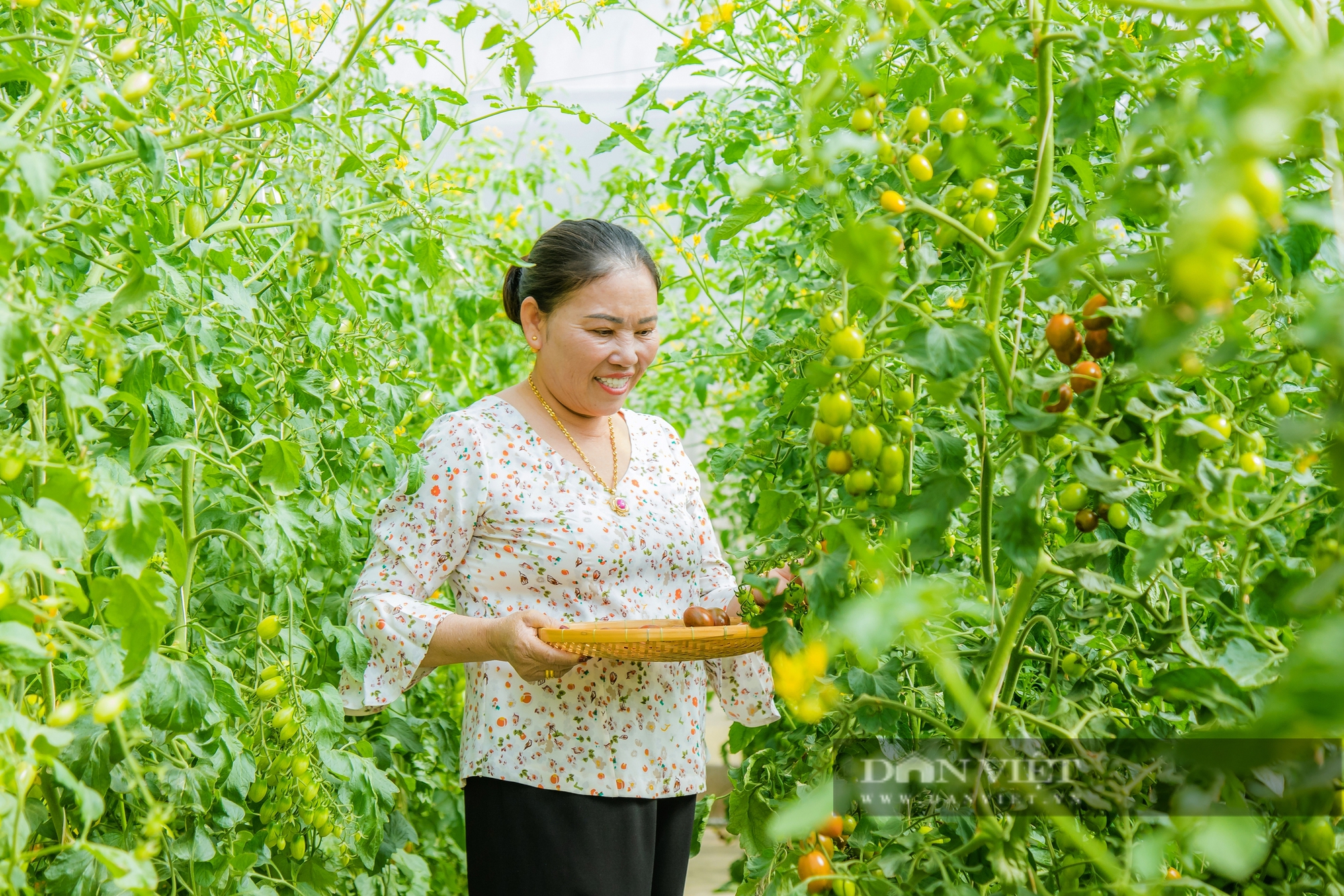 Một nông trại sạch ở Đắk Nông thu hút hàng nghìn du khách bởi những trải nghiệm độc đáo - Ảnh 6.